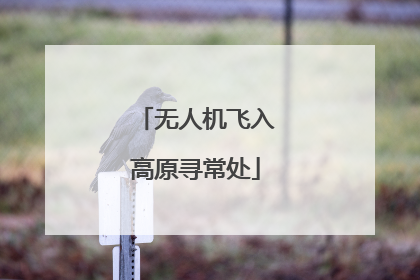 无人机飞入高原寻常处