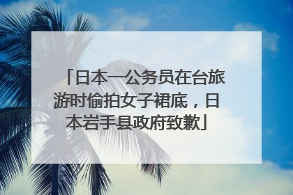 日本一公务员在台旅游时偷拍女子裙底,日本岩手县政府致歉