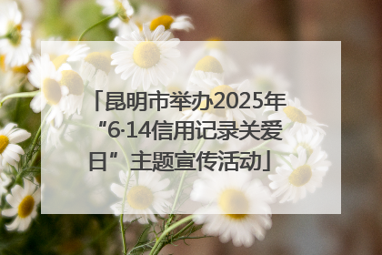 昆明市举办2025年“6·14信用记录关爱日”主题宣传活动