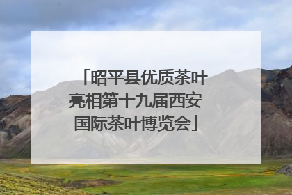 昭平县优质茶叶亮相第十九届西安国际茶叶博览会