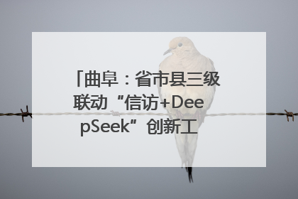 曲阜：省市县三级联动“信访+DeepSeek”创新工作新闻发布会举行