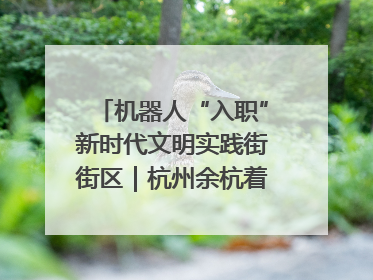 机器人“入职”新时代文明实践街街区｜杭州余杭着力提升城市精细化智能化管理水平