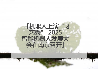 机器人上演“才艺秀” 2025智能机器人发展大会在南京召开
