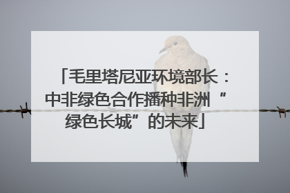 毛里塔尼亚环境部长：中非绿色合作播种非洲“绿色长城”的未来