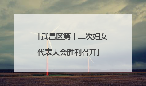 武昌区第十二次妇女代表大会胜利召开