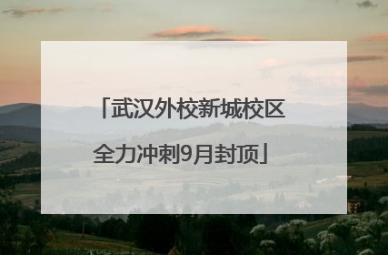 武汉外校新城校区全力冲刺9月封顶