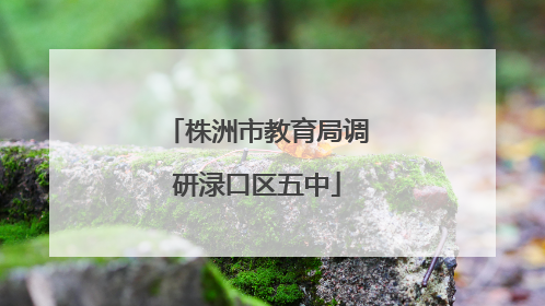 株洲市教育局调研渌口区五中