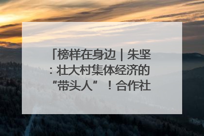 榜样在身边｜朱坚：壮大村集体经济的“带头人”！合作社经营收入三年内突破1200万元