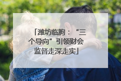潍坊临朐：“三个导向”引领财会监督走深走实