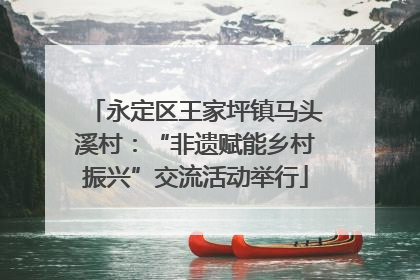 永定区王家坪镇马头溪村：“非遗赋能乡村振兴”交流活动举行