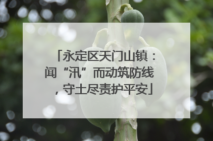 永定区天门山镇：闻“汛”而动筑防线，守土尽责护平安