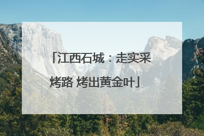 江西石城：走实采烤路 烤出黄金叶