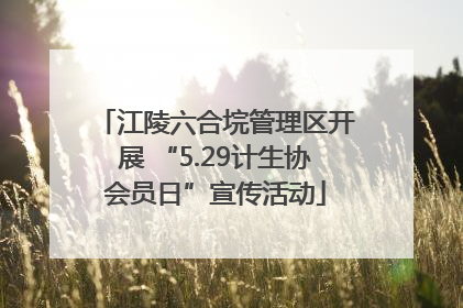 江陵六合垸管理区开展 “5.29计生协会员日”宣传活动