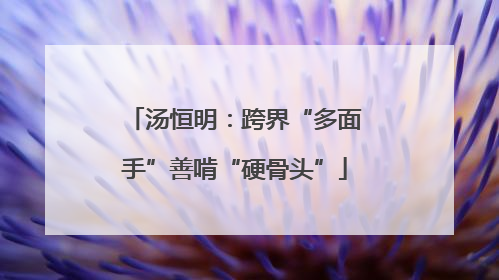 汤恒明：跨界“多面手”善啃“硬骨头”