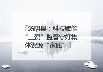 汤阴县：科技赋能“三资”监管守好集体资源“家底”