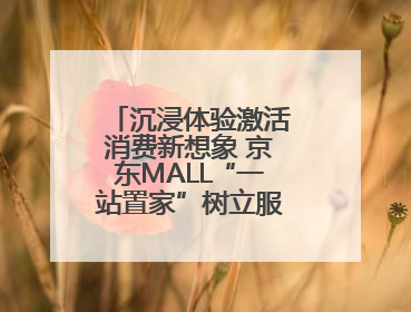 沉浸体验激活消费新想象 京东MALL“一站置家”树立服务价值新坐标