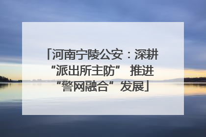 河南宁陵公安：深耕“派出所主防” 推进“警网融合”发展