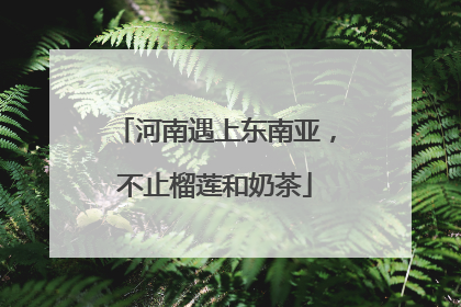 河南遇上东南亚，不止榴莲和奶茶