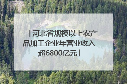 河北省规模以上农产品加工企业年营业收入超6800亿元