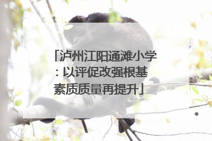 泸州江阳通滩小学：以评促改强根基 素质质量再提升