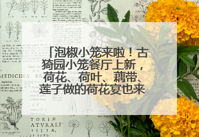 泡椒小笼来啦！古猗园小笼餐厅上新，荷花、荷叶、藕带、莲子做的荷花宴也来尝一下？