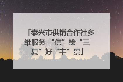 泰兴市供销合作社多维服务 “供”绘“三夏”好“丰”景