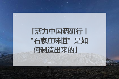 活力中国调研行丨“石家庄味道”是如何制造出来的