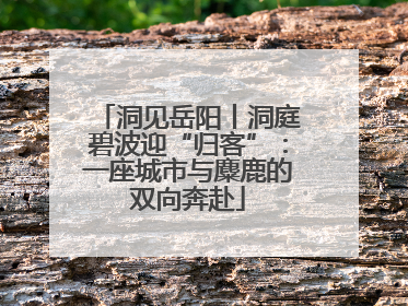 洞见岳阳丨洞庭碧波迎“归客”：一座城市与麋鹿的双向奔赴