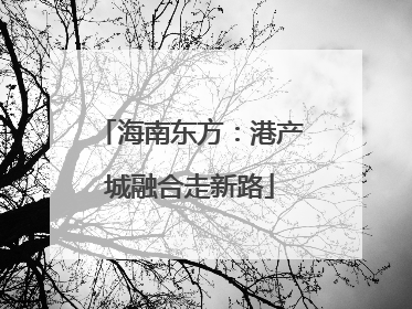 海南东方：港产城融合走新路