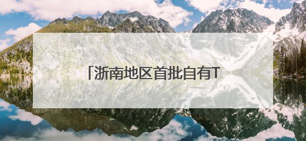 浙南地区首批自有TIR车辆启程 “购车远航”助推外贸发展