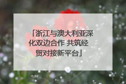 浙江与澳大利亚深化双边合作 共筑经贸对接新平台