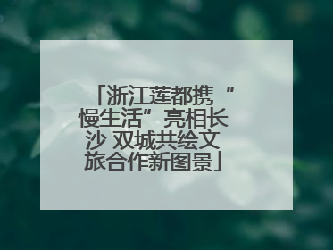 浙江莲都携“慢生活”亮相长沙 双城共绘文旅合作新图景