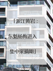 浙江黄岩：东魁杨梅进入集中采摘期