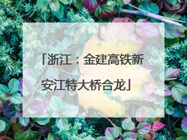 浙江：金建高铁新安江特大桥合龙