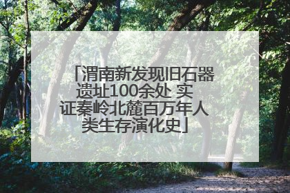 渭南新发现旧石器遗址100余处 实证秦岭北麓百万年人类生存演化史