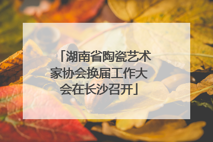 湖南省陶瓷艺术家协会换届工作大会在长沙召开