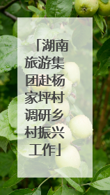 湖南旅游集团赴杨家坪村调研乡村振兴工作