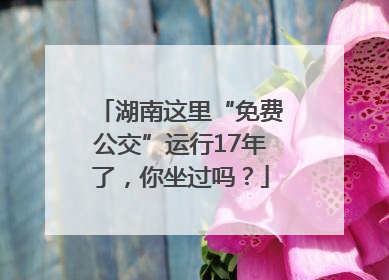 湖南这里“免费公交”运行17年了，你坐过吗？