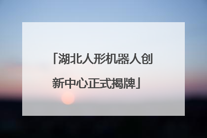 湖北人形机器人创新中心正式揭牌