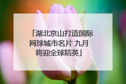 湖北京山打造国际网球城市名片 九月将迎全球精英