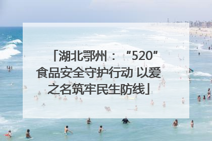 湖北鄂州：“520”食品安全守护行动 以爱之名筑牢民生防线