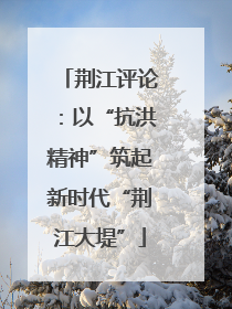 荆江评论：以“抗洪精神”筑起新时代“荆江大堤”