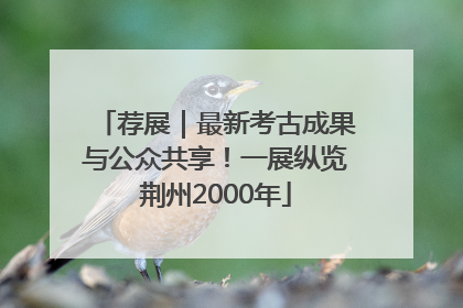 荐展｜最新考古成果与公众共享！一展纵览荆州2000年