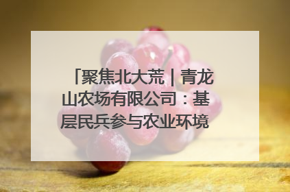 聚焦北大荒｜青龙山农场有限公司：基层民兵参与农业环境综合治理显效