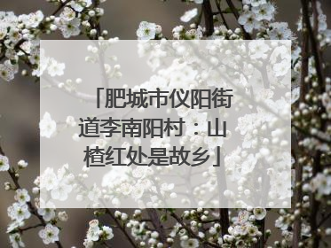 肥城市仪阳街道李南阳村：山楂红处是故乡