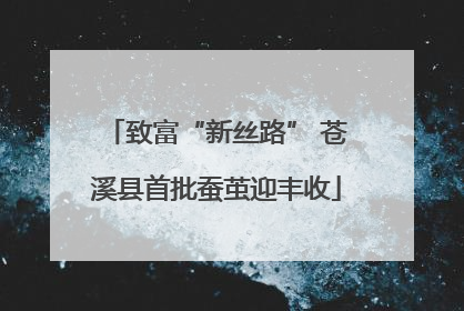 致富“新丝路” 苍溪县首批蚕茧迎丰收