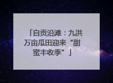 自贡沿滩：九洪万亩瓜田迎来“甜蜜丰收季”
