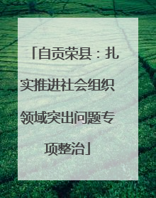 自贡荣县：扎实推进社会组织领域突出问题专项整治