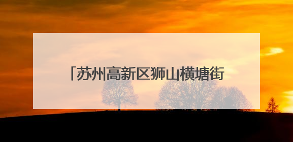 苏州高新区狮山横塘街道聚焦毕业季 为青年人才铺就职场“快车道”