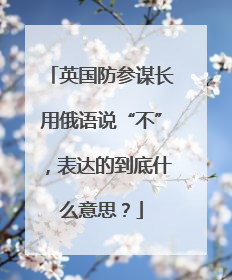 英国防参谋长用俄语说“不”，表达的到底什么意思？